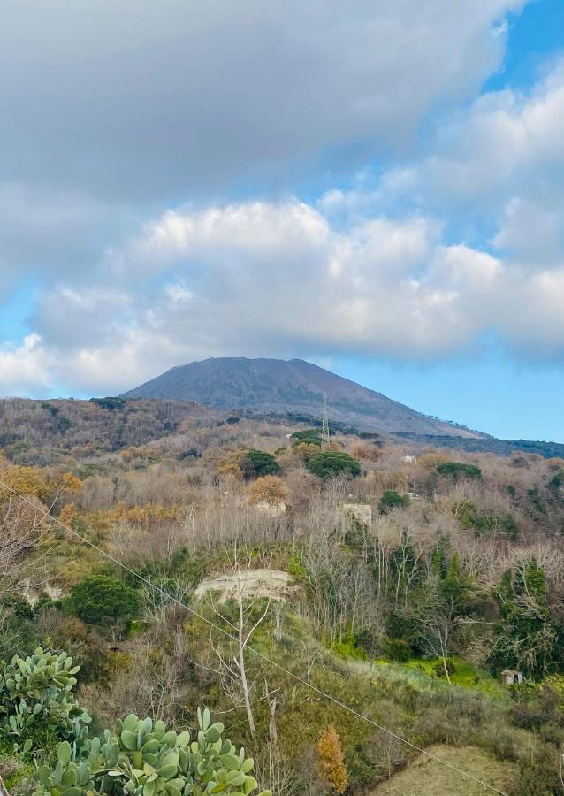 Domus Agricolae Corallina Torre del Greco Dış mekan fotoğraf