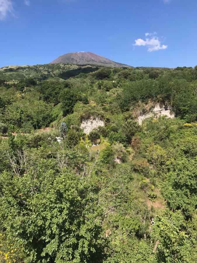 Domus Agricolae Corallina Torre del Greco Dış mekan fotoğraf