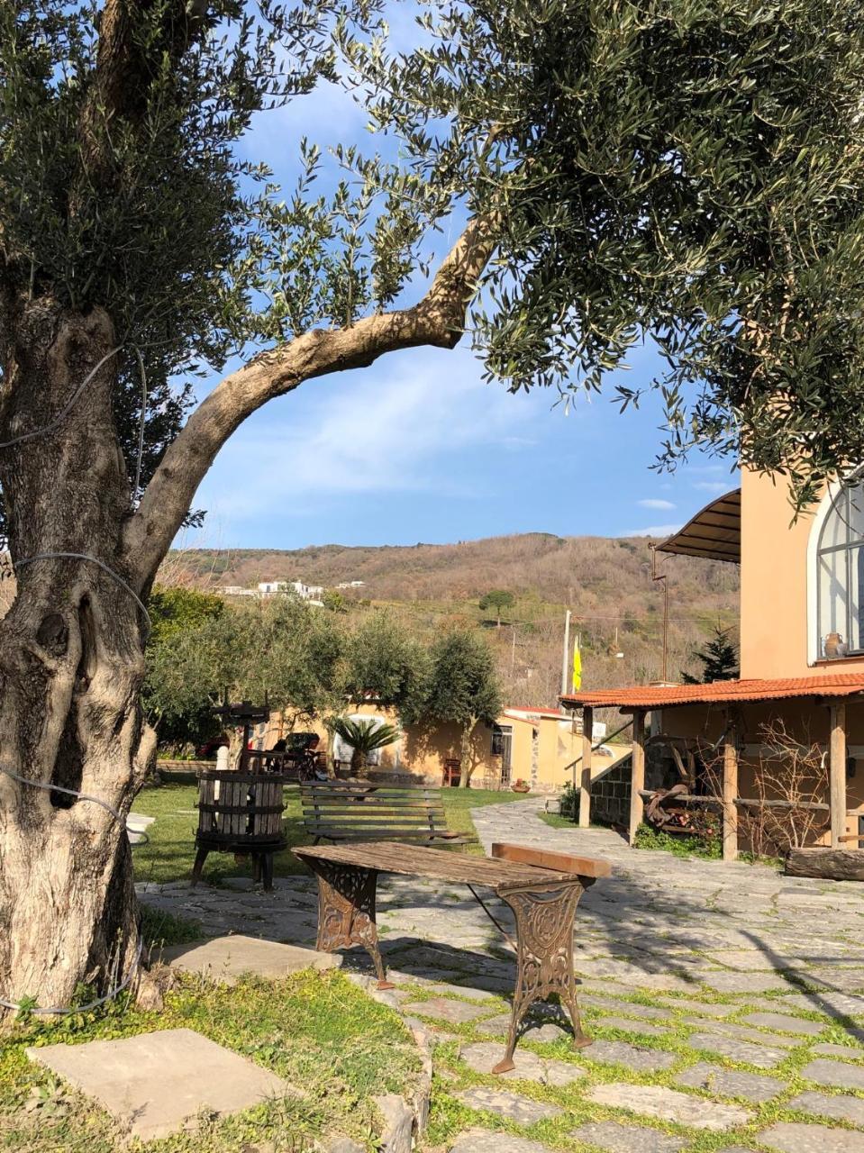 Domus Agricolae Corallina Torre del Greco Dış mekan fotoğraf