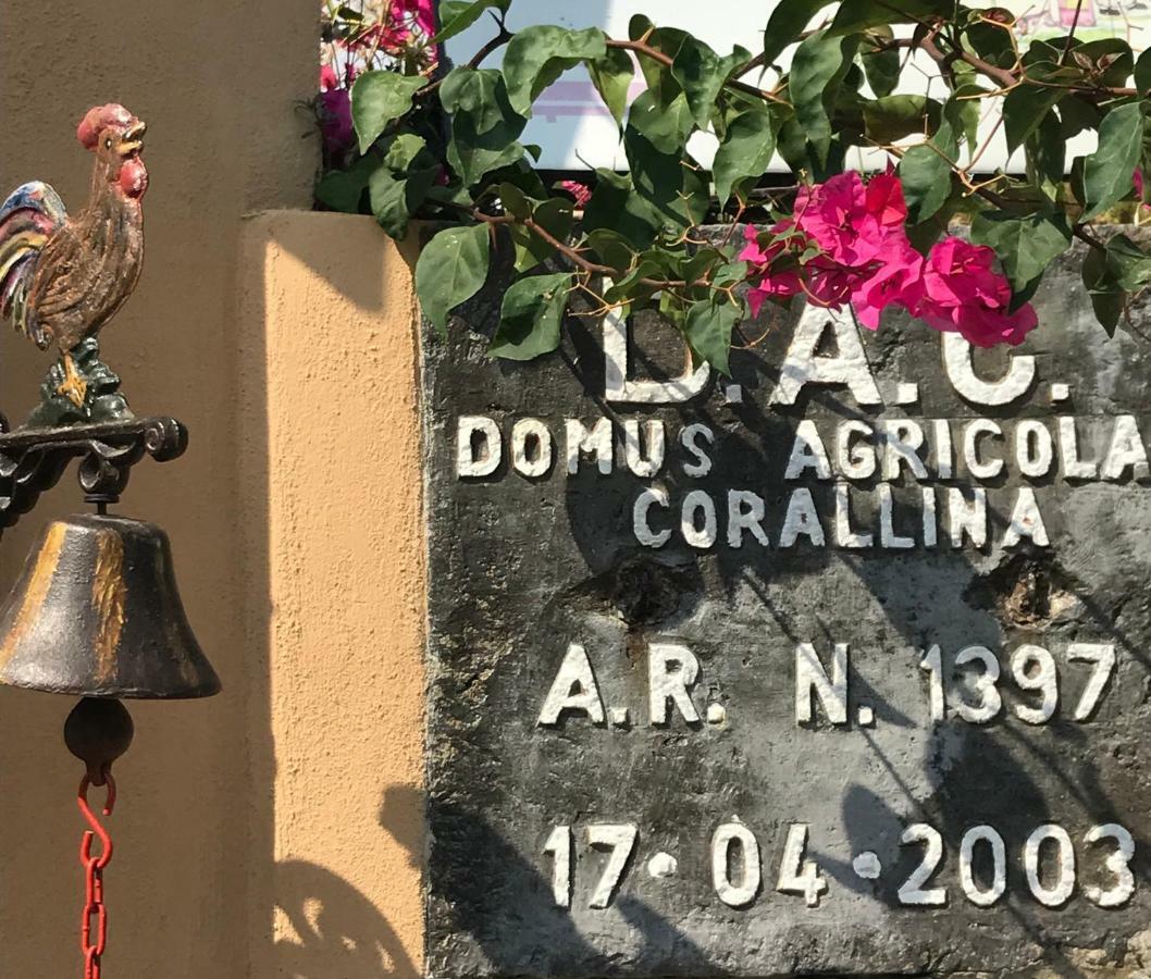 Domus Agricolae Corallina Torre del Greco Dış mekan fotoğraf