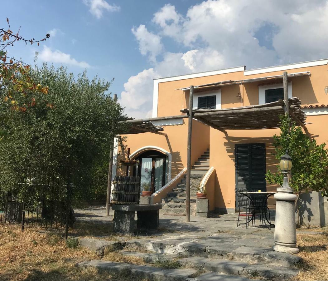 Domus Agricolae Corallina Torre del Greco Dış mekan fotoğraf