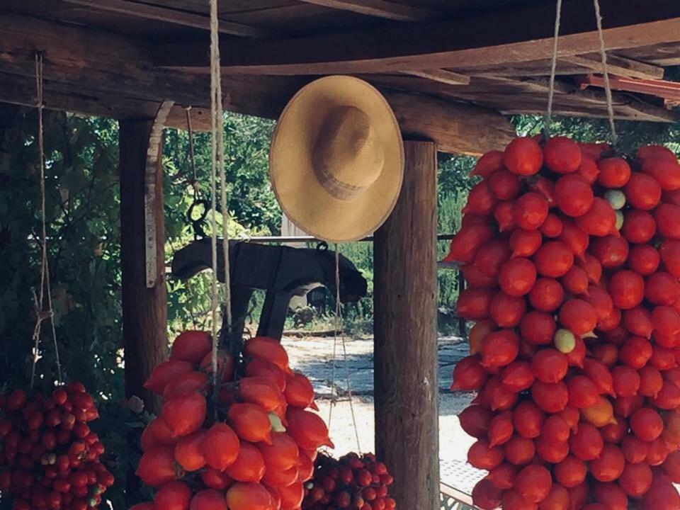 Domus Agricolae Corallina Torre del Greco Dış mekan fotoğraf